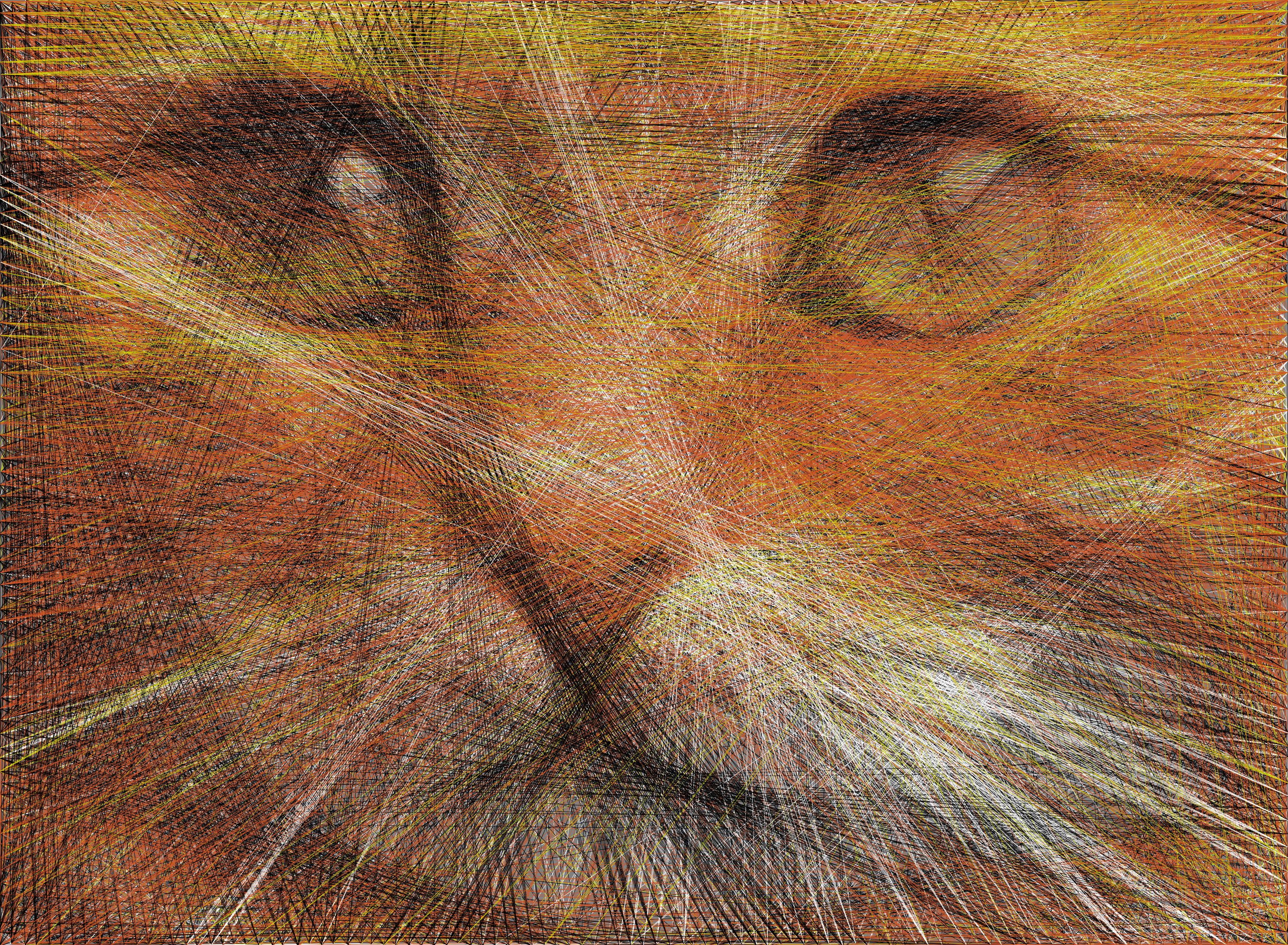Algorithmic String Art | Roy Hachnochi