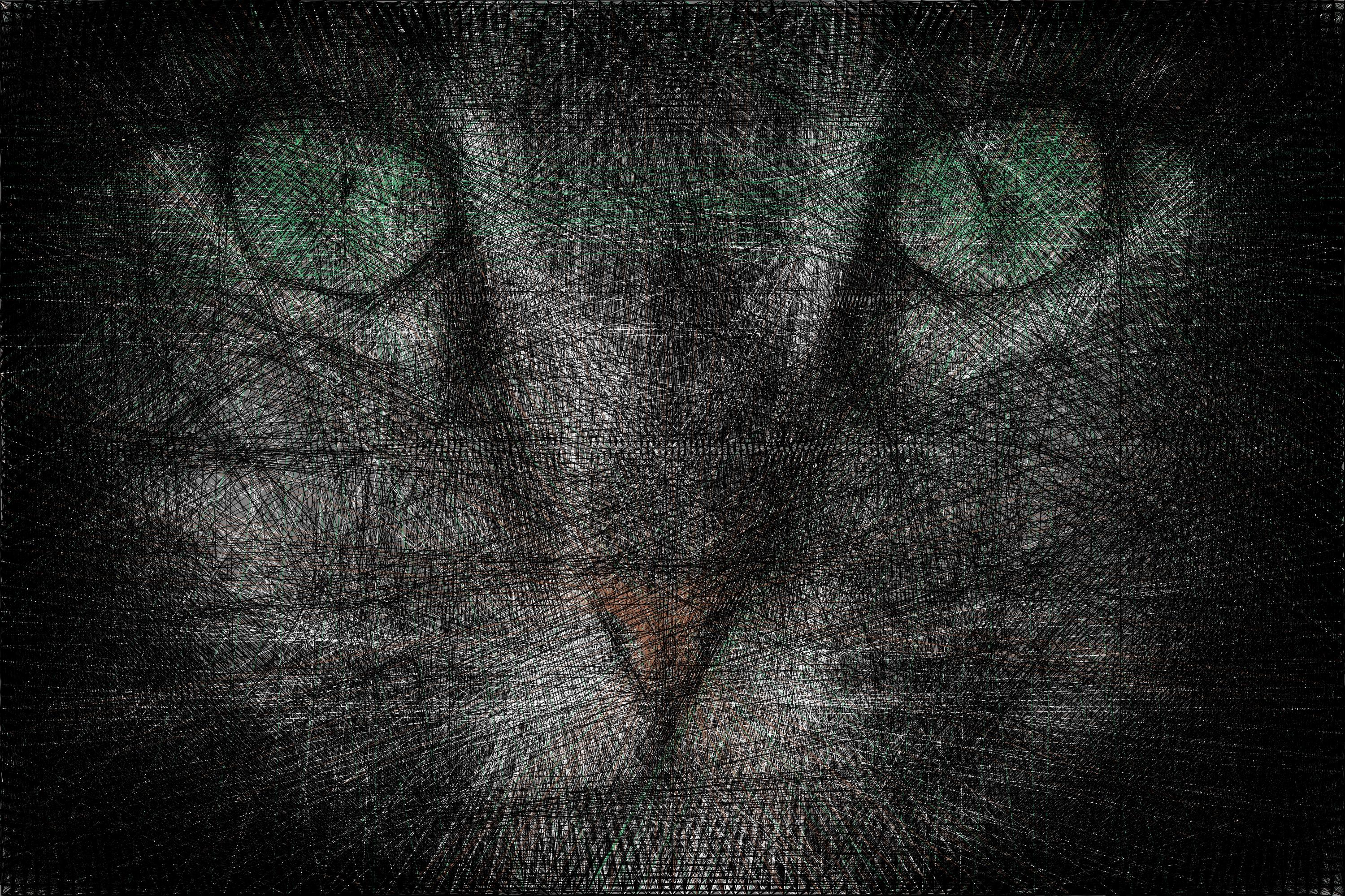 Algorithmic String Art | Roy Hachnochi