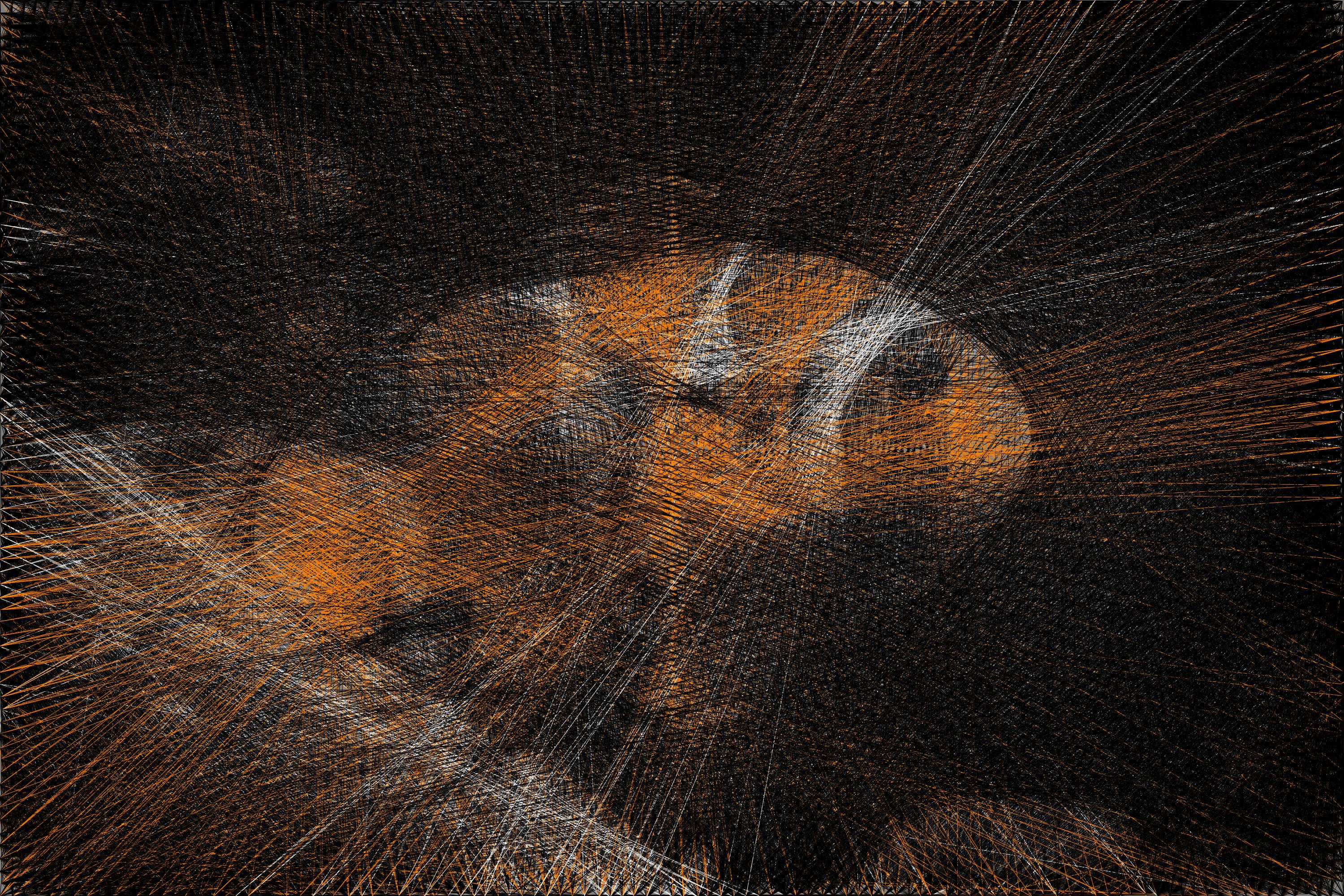 Algorithmic String Art | Roy Hachnochi