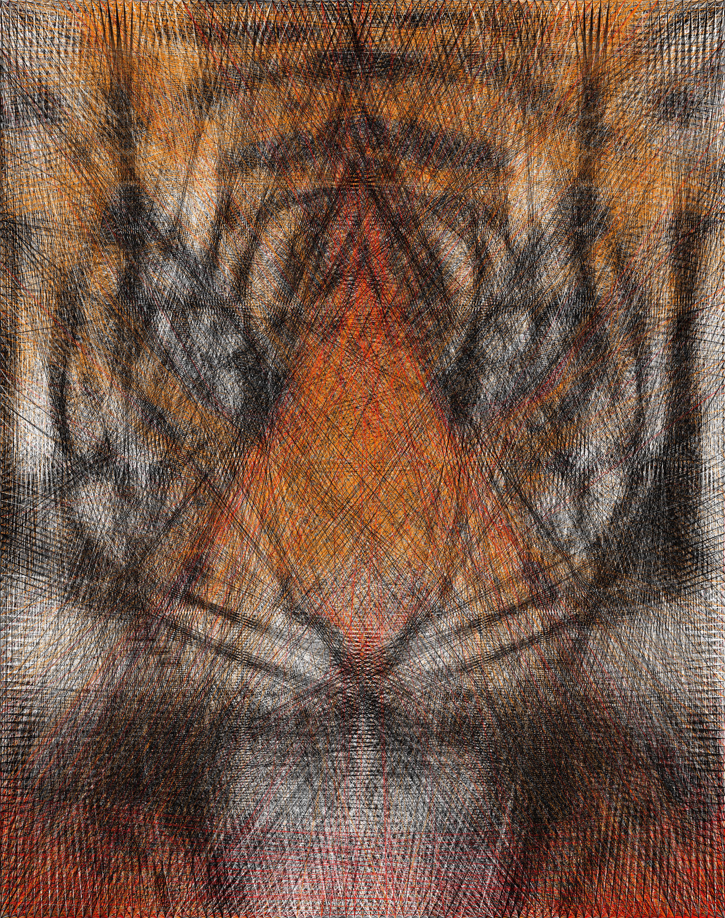 Algorithmic String Art | Roy Hachnochi